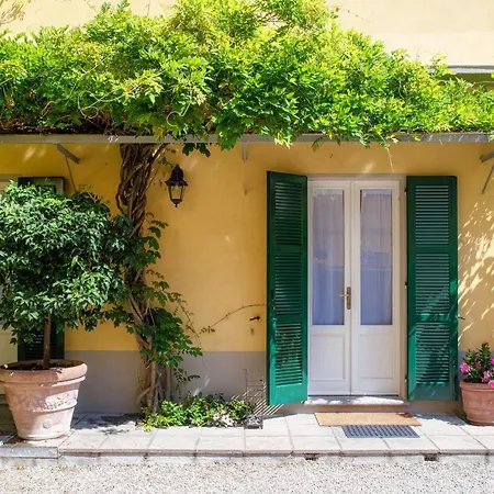 The Lemon Tree House - Center Apartament
